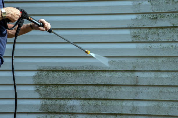 Trusted Beech Island, SC Pressure Washing Services Experts